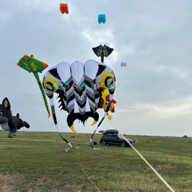 New Arrival 16sqm Trilobite Kite 40d Ripstop Nylon For Adults High Quality Colorful Animal Show Kites 