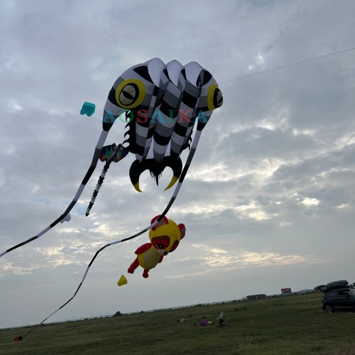 New Arrival 16sqm Trilobite Kite 40d Ripstop Nylon For Adults High Quality Colorful Animal Show Kites