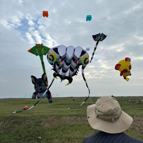 New Arrival 16sqm Trilobite Kite 40d Ripstop Nylon For Adults High Quality Colorful Animal Show Kites