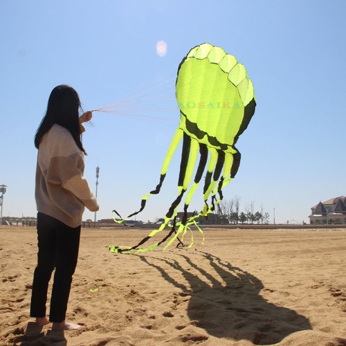 New Arrival Soft Inflatable 10M Octopus With Glasses Kite Polyester cloth Adults High Quality Colorful Animal Show Kites
