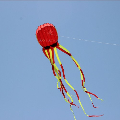 New Arrival Soft Inflatable 10M Octopus With Glasses Kite Polyester cloth Adults High Quality Colorful Animal Show Kites