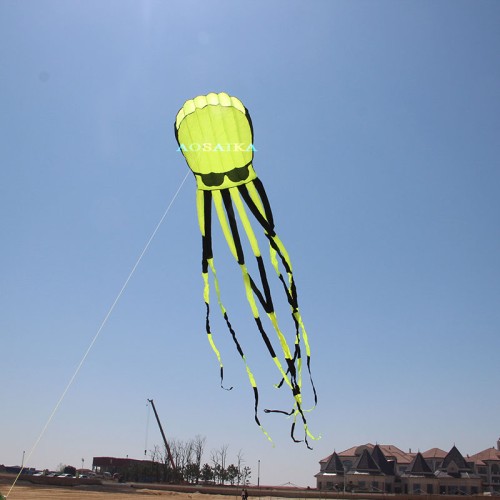 New Arrival Soft Inflatable 10M Octopus With Glasses Kite Polyester cloth Adults High Quality Colorful Animal Show Kites