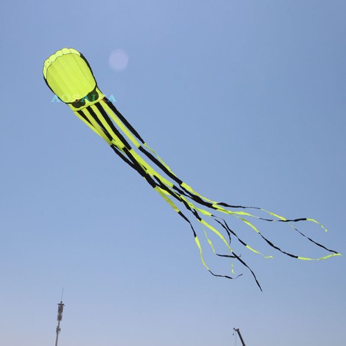 New Arrival Soft Inflatable 10M Octopus With Glasses Kite Polyester cloth Adults High Quality Colorful Animal Show Kites