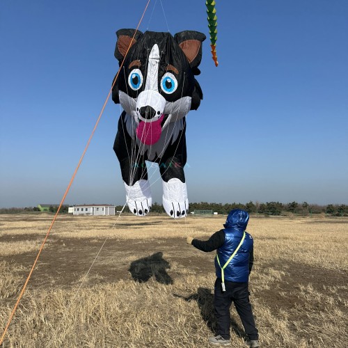 3.5M Border collie Sheep dog kite Pendant 40d Ripstop Nylon For Adults High Quality Colorful Show Kite