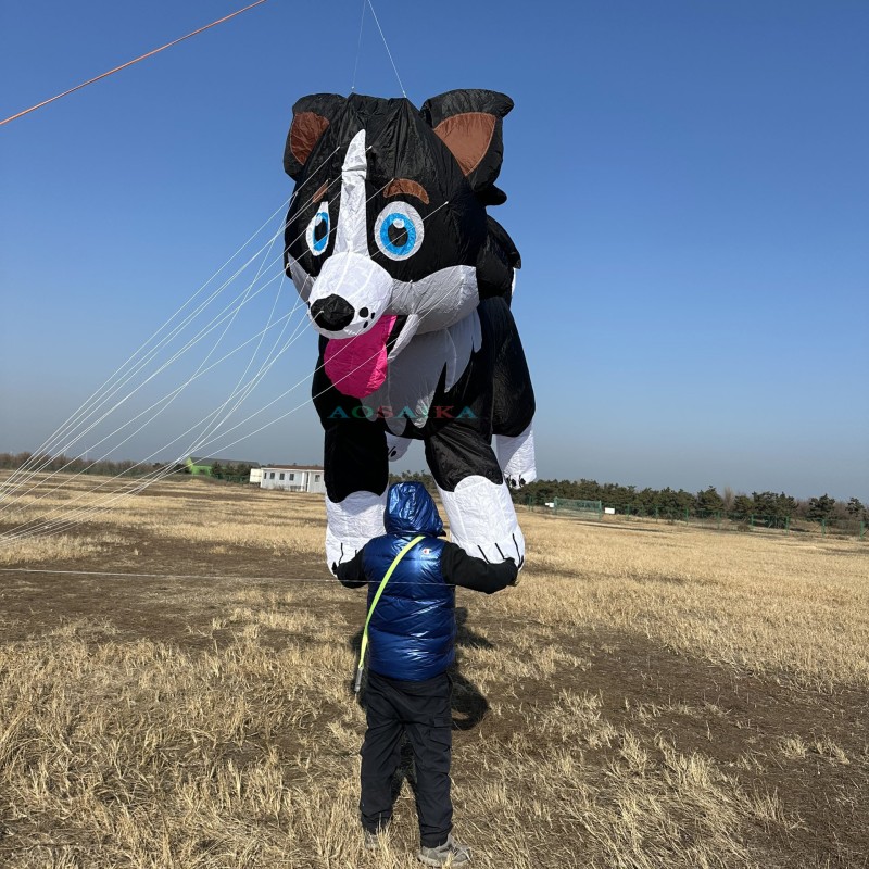 3.5M Border collie Sheep dog kite Pendant 40d Ripstop Nylon For Adults High Quality Colorful Show Kite 