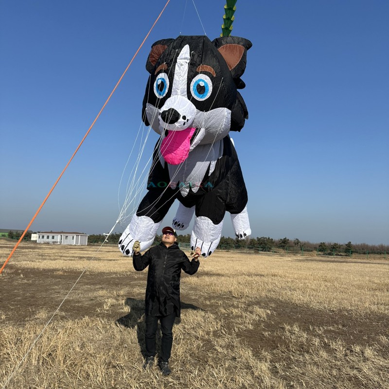 3.5M Border collie Sheep dog kite Pendant 40d Ripstop Nylon For Adults High Quality Colorful Show Kite 