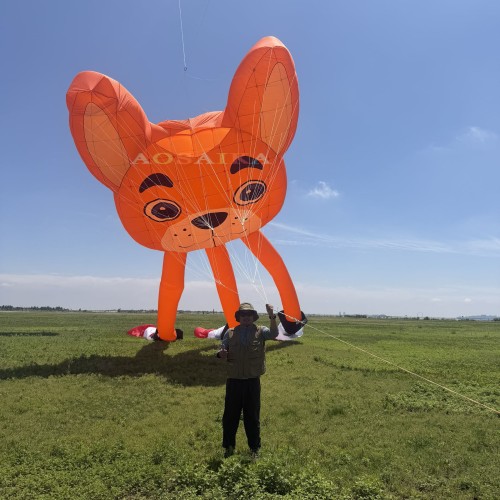 6*21m Bulldog lifter kite pendant 40d ripstop nylon For Adults High Quality Colorful Show Kites