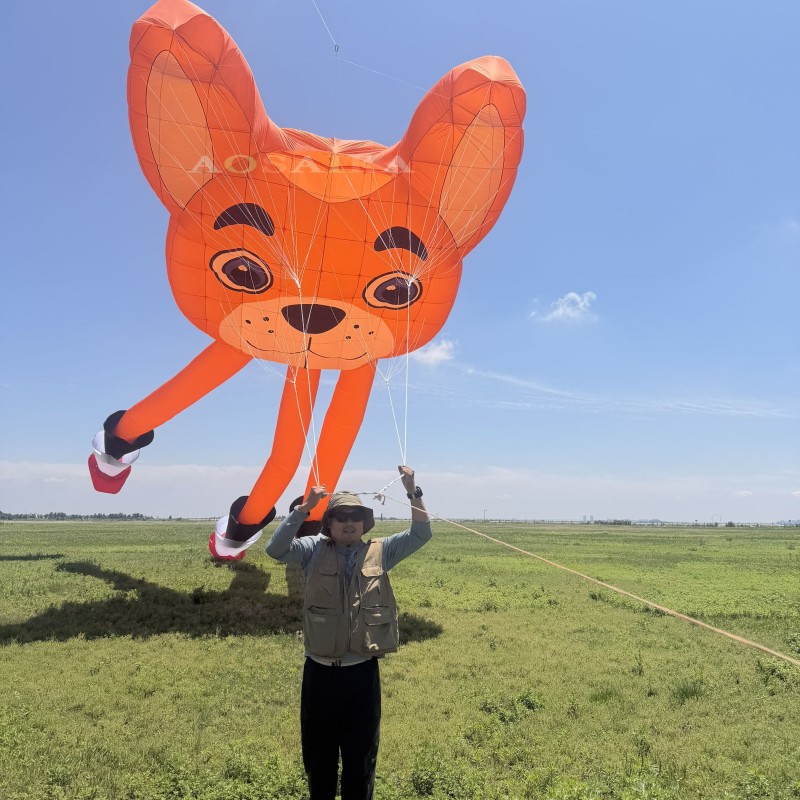 6*21m Bulldog lifter kite pendant 40d ripstop nylon For Adults High Quality Colorful Show Kites 