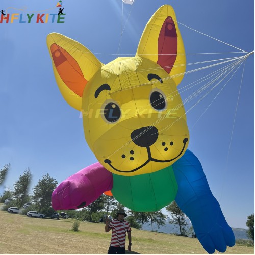 10m dog kite pendant 40d ripstop nylon For Adults High Quality Colorful Animal Show Kites