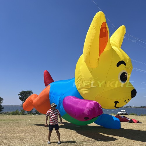 10m dog kite pendant 40d ripstop nylon For Adults High Quality Colorful Animal Show Kites