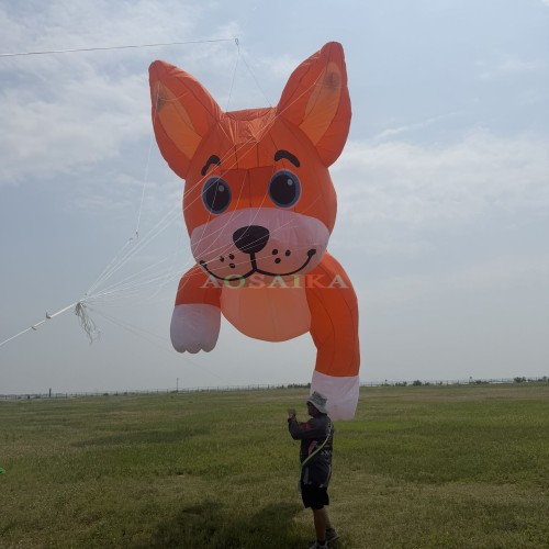 5m Bulldog kite pendant 40d ripstop nylon