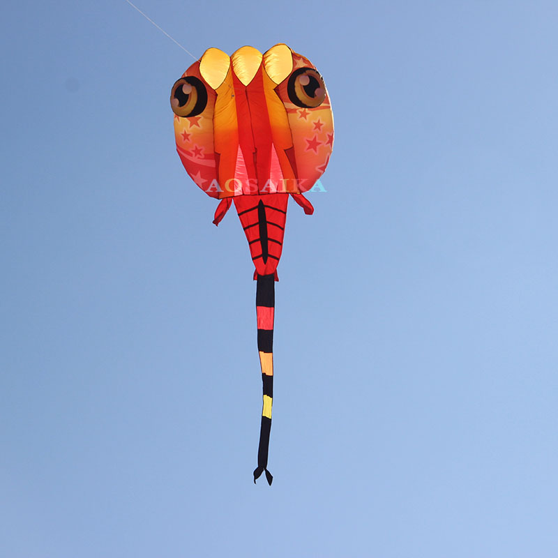 New Arrival Soft Inflatable 13sqm Star Tadpole Kite 40d Nylon Ripstop For Adults High Quality Colorful Animal Show Kites 