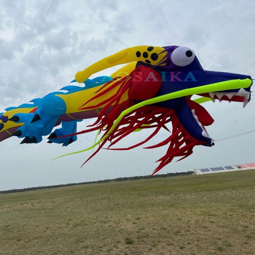 New Arrival Soft Inflatable 15M Dragon Kite Pendant 40d Nylon Ripstop Adults High Quality Colorful Animal Show Kites