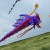 purple  
