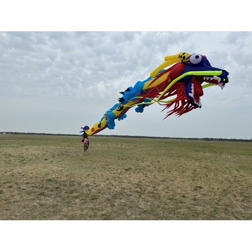 15m china dragon kite pendant 