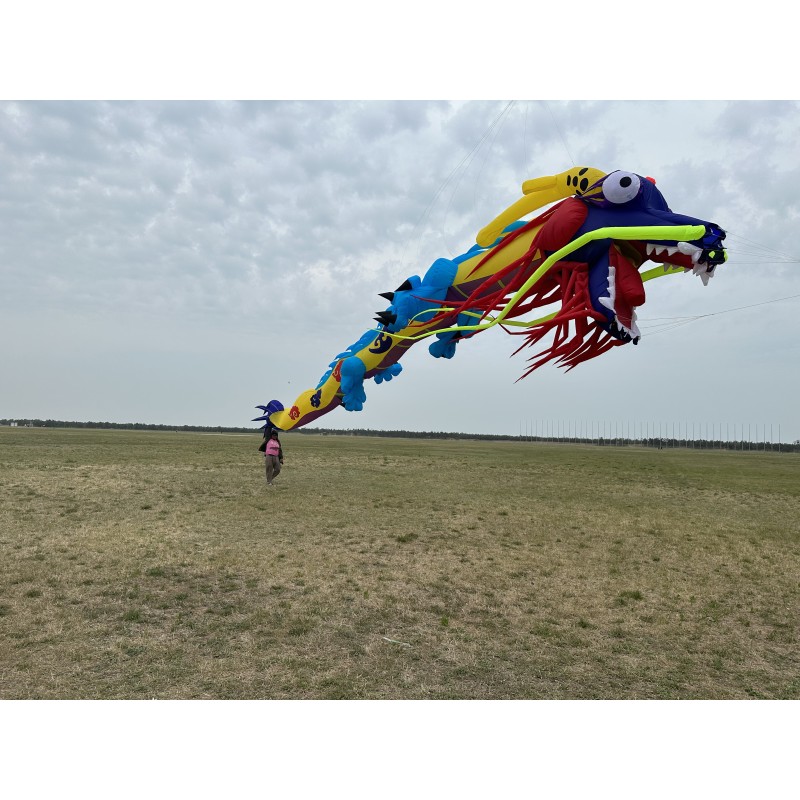 15m china dragon kite pendant  