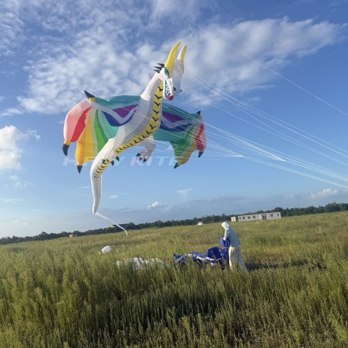 16.5M pterosaur dragon kite pendant 40d ripstop nylon