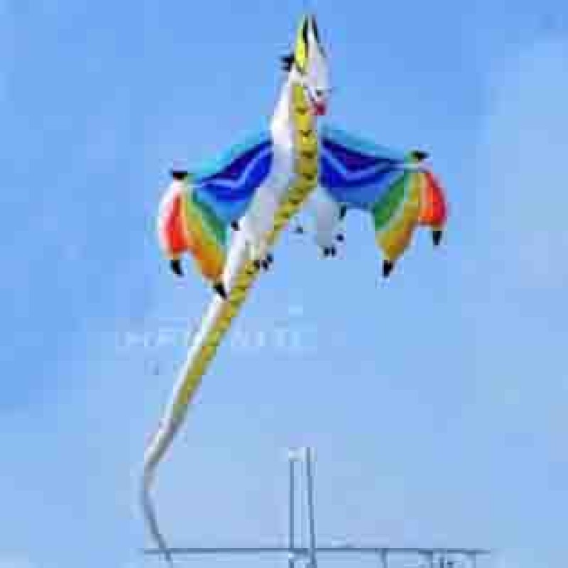 16.5M pterosaur dragon kite pendant 40d ripstop nylon 