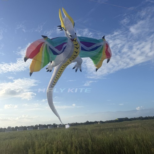 16.5M pterosaur dragon kite pendant 40d ripstop nylon