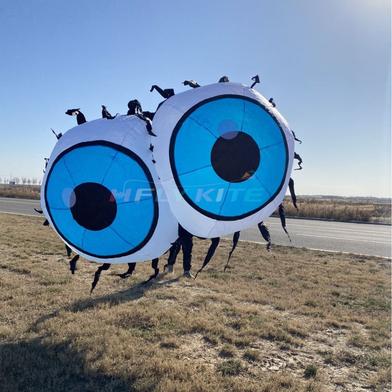 2.5M eyeball ground kite 40d ripstop nylon 
