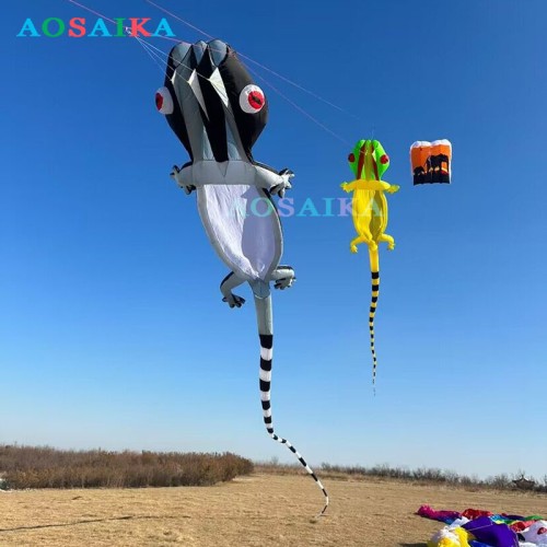 New Arrival Soft Inflatable 20M Gecko Kite Pendant 40d Nylon Ripstop Adults High Quality Colorful Animal Show Kites