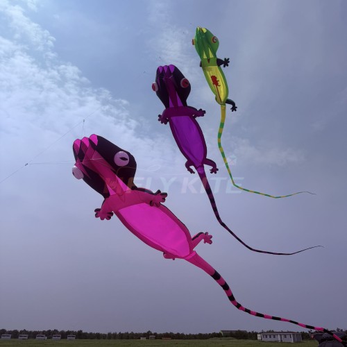 New Arrival Soft Inflatable 20M Gecko Kite Pendant 40d Nylon Ripstop Adults High Quality Colorful Animal Show Kites