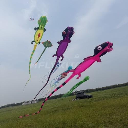 New Arrival Soft Inflatable 20M Gecko Kite Pendant 40d Nylon Ripstop Adults High Quality Colorful Animal Show Kites