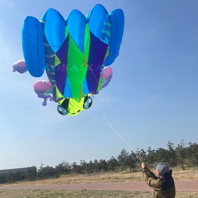 New Arrival Soft Inflatable 20Sqm Frog Kite 40d Ripstop Nylon For Adults High Quality Colorful Show Animal Kites 