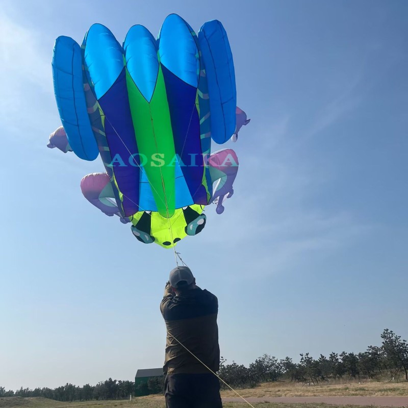 New Arrival Soft Inflatable 20Sqm Frog Kite 40d Ripstop Nylon For Adults High Quality Colorful Show Animal Kites 