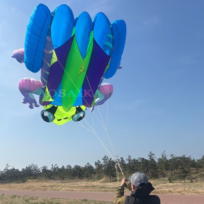 New Arrival Soft Inflatable 20Sqm Frog Kite 40d Ripstop Nylon For Adults High Quality Colorful Show Animal Kites 