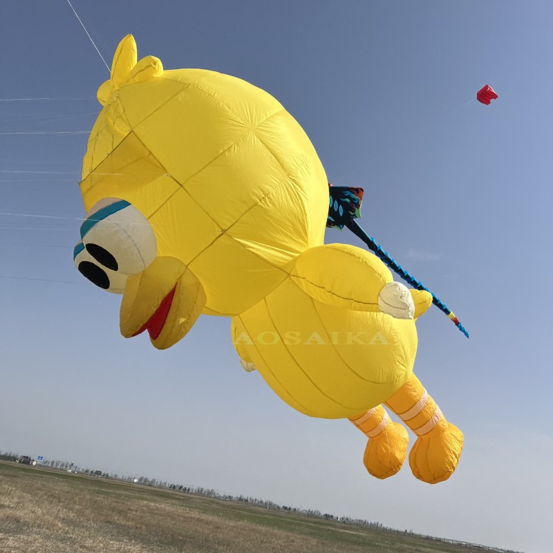 3.5m/5m/12m Big Bird Kite Pendant 40d Ripstop Nylon For Adults High Quality Colorful Show Kites 