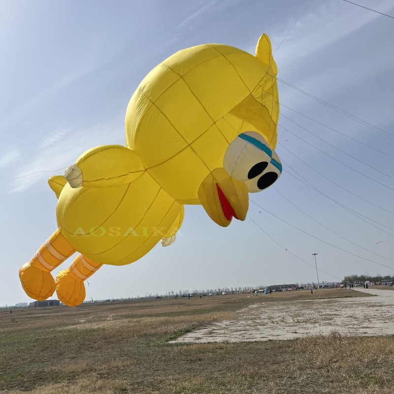 3.5m/5m/12m Big Bird Kite Pendant 40d Ripstop Nylon For Adults High Quality Colorful Show Kites 