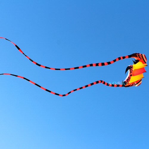 New Arrival Soft Inflatable 45sqm Trilobite Kite 40d Ripstop Nylon For Adults High Quality Colorful Animal Show Kites New Arrival Soft Inflatable 45sqm Trilobite Kite 40d Ripstop Nylon For Adults High Quality Colorful Animal Show Kites