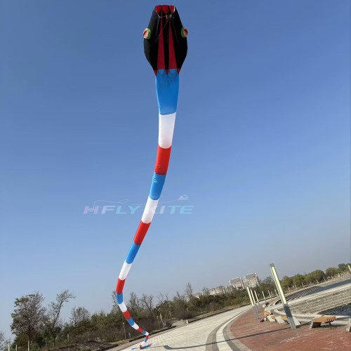 55M snake kite for audlts large big outdoor fun toys animal kites
