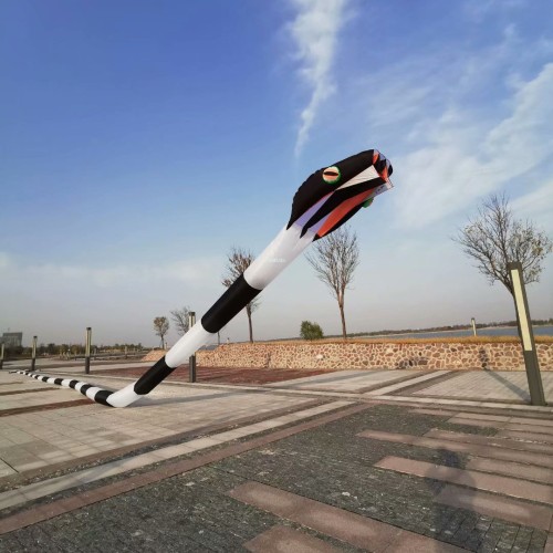 55M snake kite for audlts large big outdoor fun toys animal kites
