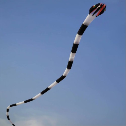 55M snake kite for audlts large big outdoor fun toys animal kites
