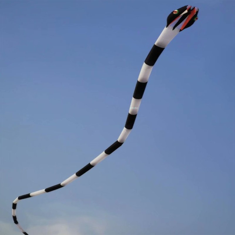 55M snake kite for audlts large big outdoor fun toys animal kites 