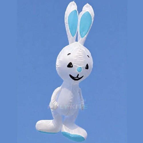 5m Rabbit kite pendant 40d ripstop nylon For Adults High Quality Colorful Show Kites