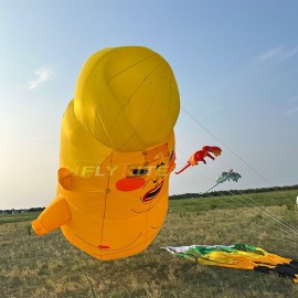 5M Trump kite pendant 40d ripstop nylon 