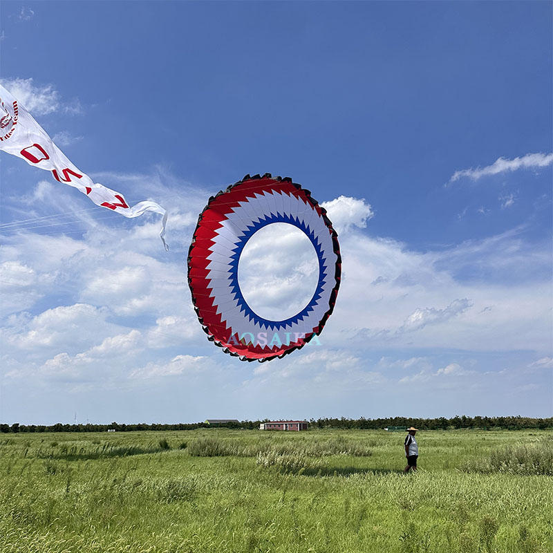 New Arrival Soft Inflatable 6M Bol Kite 40d Ripstop Nylon For Adults High Quality Colorful Show Kites 