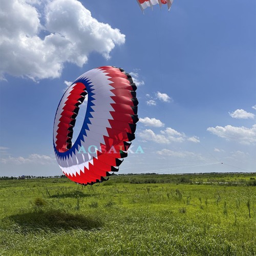 New Arrival Soft Inflatable 6M Bol Kite 40d Ripstop Nylon For Adults High Quality Colorful Show Kites