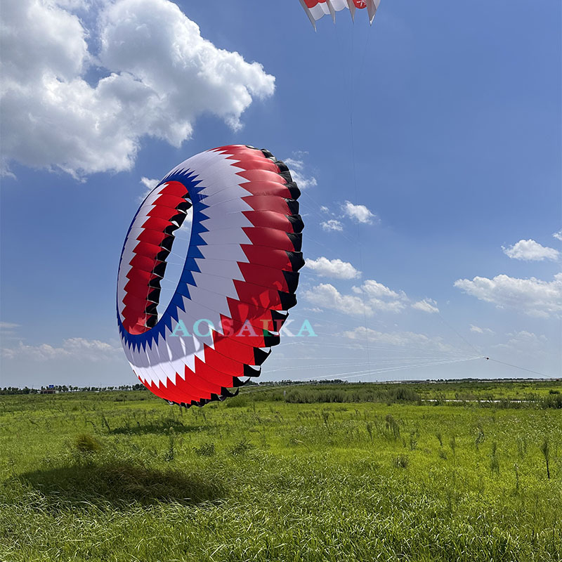 New Arrival Soft Inflatable 6M Bol Kite 40d Ripstop Nylon For Adults High Quality Colorful Show Kites 
