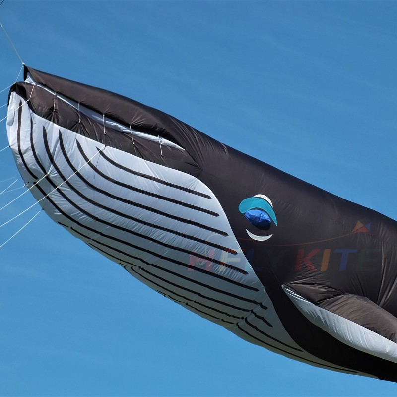 9M blue whale kite pendant 40d ripstop nylon 