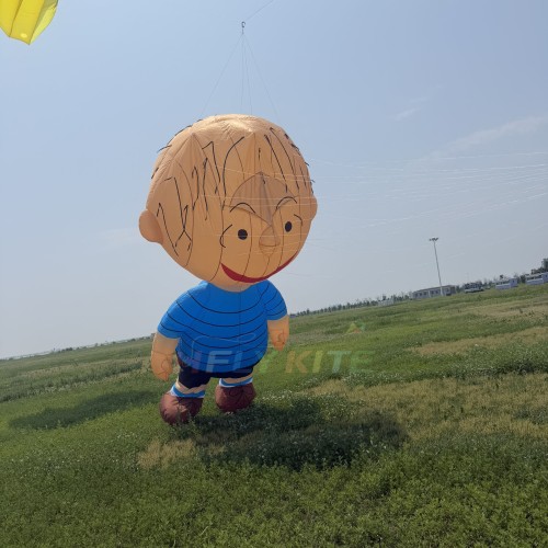 5m Linus kite pendant 40d ripstop nylon For Adults High Quality Colorful Show Kites