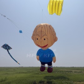 5m Linus kite pendant 40d ripstop nylon For Adults High Quality Colorful Show Kites 