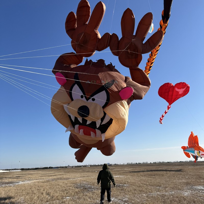 12m Taz-z kite 40d ripstop nylon For Adults High Quality Colorful Show Kite 