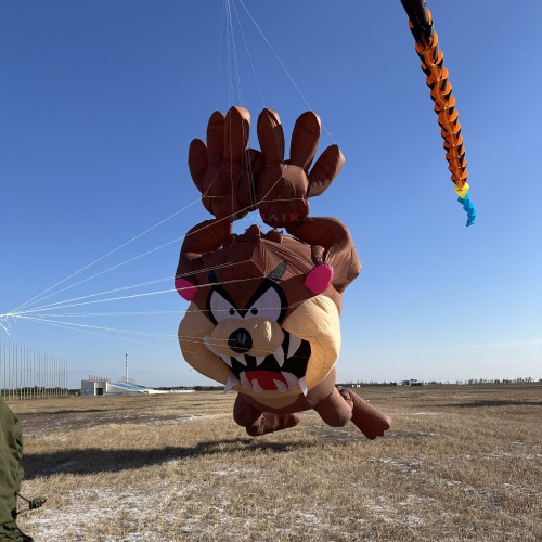 12m Taz-z kite 40d ripstop nylon For Adults High Quality Colorful Show Kite