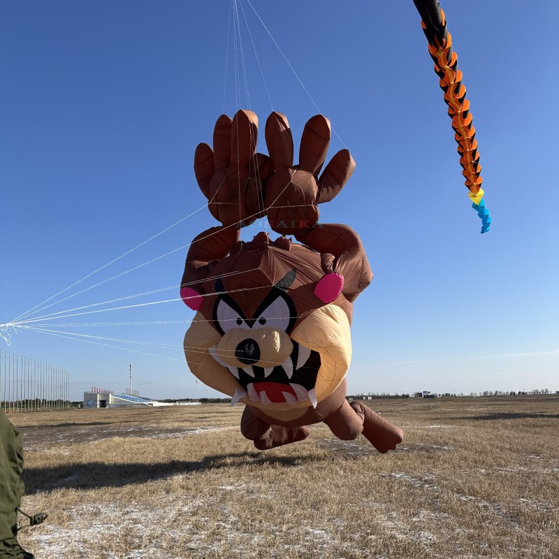 12m Taz-z kite 40d ripstop nylon For Adults High Quality Colorful Show Kite 