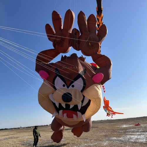 12m Taz-z kite 40d ripstop nylon For Adults High Quality Colorful Show Kite