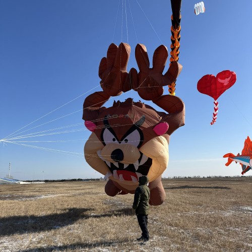 12m Taz-z kite 40d ripstop nylon For Adults High Quality Colorful Show Kite